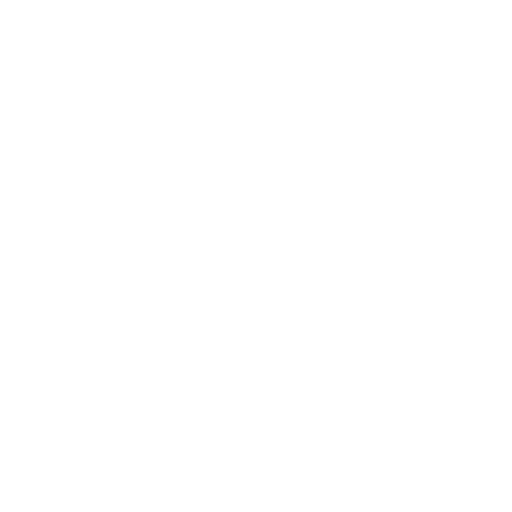 phone_icon